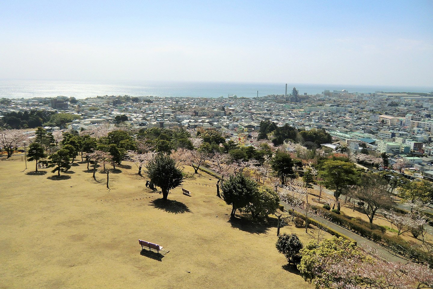 🏞️ 히타치시 카미네 공원(日立市かみね公園) 이미지 3